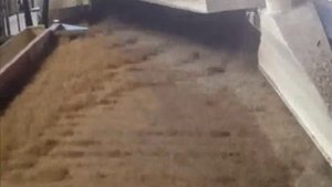 Очистка люцерны на пневмовибростоле Фадеева