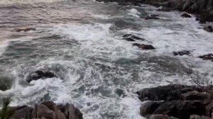 ПОЛУОСТРОВ ГАМОВА. БУХТА ТЕЛЯКОВСКОГО.