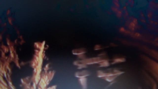 Я ВЕРЮ, ДРУЗЬЯ смотреть онлайн