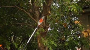 Видеообзор высотореза STIHL HTA 85