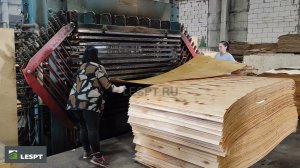Линия производства фанеры (Нижегородская область, 2021 г.)
