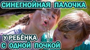 Синегнойная палочка у ребёнка с ОДНОЙ ПОЧКОЙ