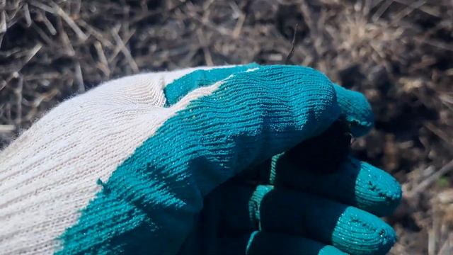 Богатое поле на месте старой деревни. Столько серебра я ещё не находил. смотреть онлайн