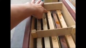 Ловушка для поимки пчелиного роя из ящика пчелопакета. Пчеловодство с шестилетнего возраста (англ. к