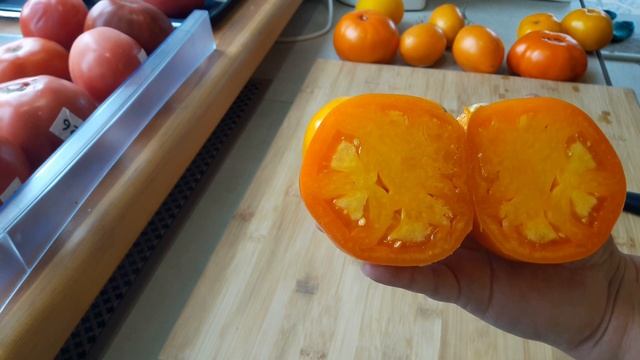 Золотой Кенигсберг томат. Дегустация. смотреть онлайн