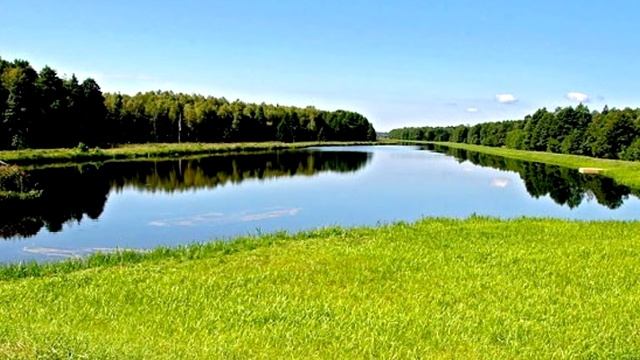 Джозеф Мерфи. Как изменить жизнь и жить в мире. Божественное присутствие и его сила творят чудеса