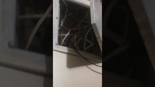 щитовые в подъезде бардак