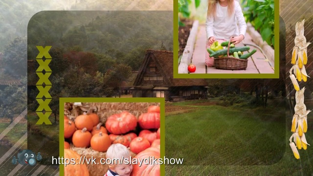 Дачный сезон._720p