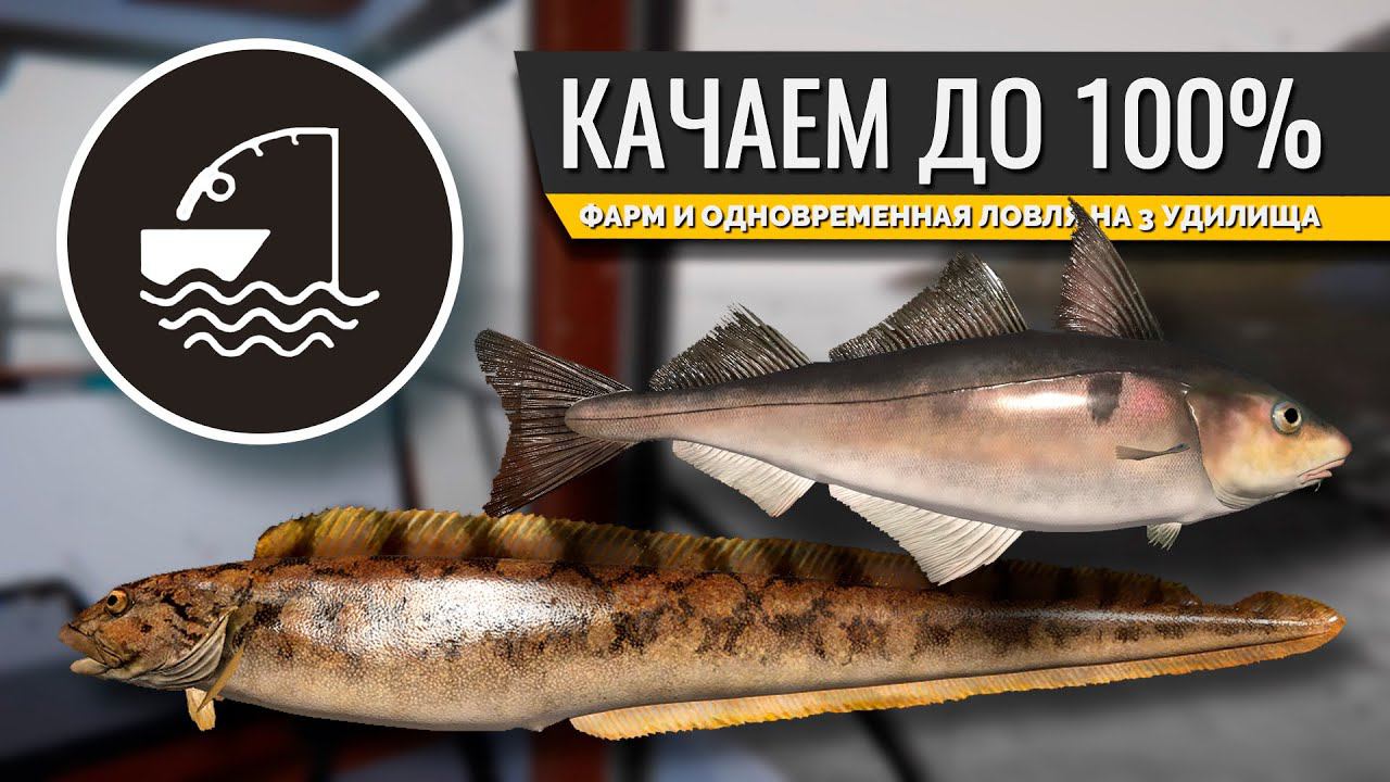 РУССКАЯ РЫБАЛКА 4 - Норвежское море, фарм и одновременная ловля на 3 Пилкера. Стрим 2 смотреть онлайн