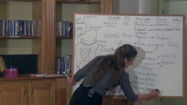 Caring For The Gut - Barbara O'Neill смотреть онлайн