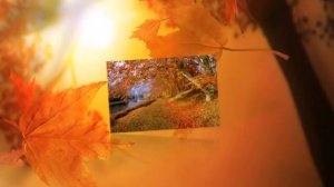 Осень фотографии природы