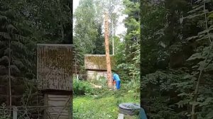 Горе лесорубы