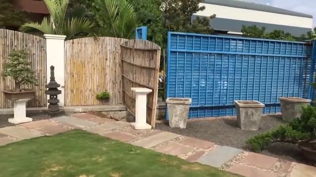 Bonsai - Amazing Rooftop Bonsai Garden | Best Bonsai смотреть онлайн