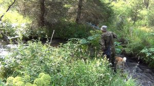 Как поймать хариуса в таежном ручье