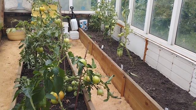 #сад#сезон продолжается#ужин#вкусно#простойрецепт за 30 минут💥 смотреть онлайн