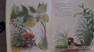 Владимир Сутеев. Сказка «Под грибом» | Онлайн-чтения от библиотеки-филиала №11