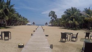 Цейлонский вояж 4 серия - Пасикуда