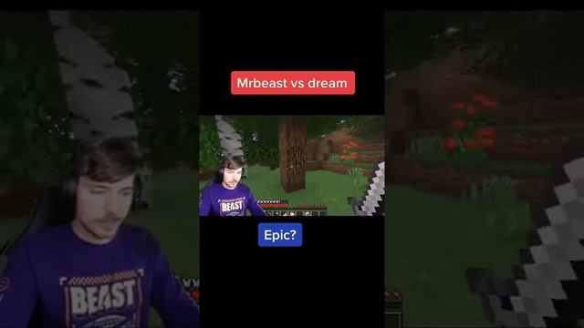 Dream vs Mr Beast   Minecraft manhunt