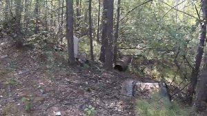 Мотопробег по БАМу.