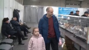 Выставка голубей. г. Иркутск. 26 ноября 2022 г