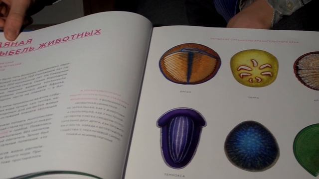 КНИЖНЫЙ БЛОГЕР. Мережко Георгий, 12 лет. Книга: Древние чудовища России. Нелихов А. смотреть онлайн