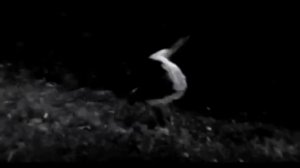 ЧТО ТАКОЕ VHS?