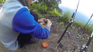 ЖОР ЛЕЩА . НАШЛИ ЗАКОРМЛЕННОЕ МЕСТО . УТРЕННЯЯ РЫБАЛКА С ЖЕСТКИМИ ЗАЦЕПАМИ