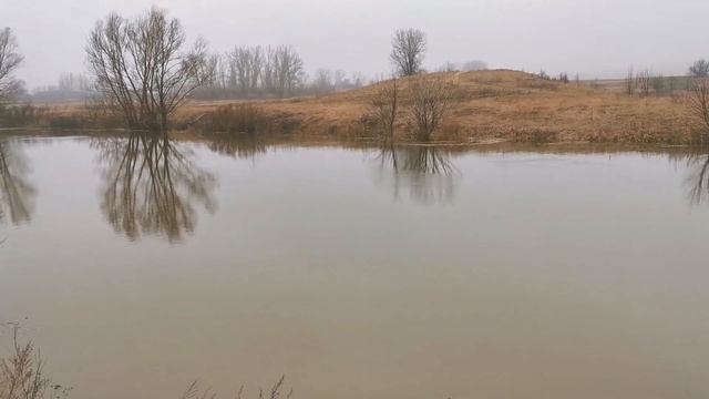 река Калитва, половодье. Шептуховка и Новоселовка, Чертковский район