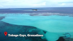 Deep Sea Adventure in Tobago Cays 🤿 Cruising the Caribbean