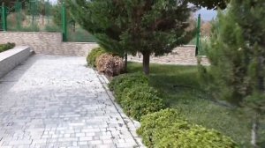 Gashalti Health Hotel Naftalan 5* (Санаторий Гашалты. Азербайджан)