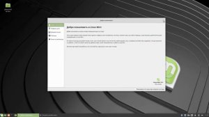 Чистая установка Linux Mint. ОС будет единственной на жестком диске