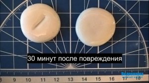 Самовосстанавливающиеся материалы на основе боросилоксана