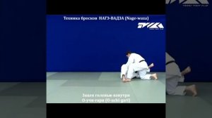 Дзюдо ( Зацеп голенью изнутри )
