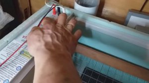 Инкубация индоутки сезон 2021