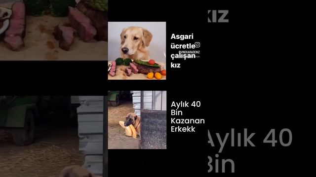 Asgari ücretle çalışan kızla aylık 40 bin tl maaş alan erkek arasındaki fark