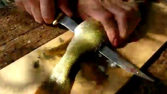 Филеруем щуку. Лучший филейный нож.