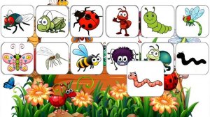 НАСЕКОМЫЕ для детей Карточки Домана // Развивающие мультики для малышей  Обучающее видео