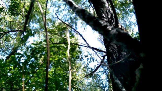 Как плачет ива смотреть онлайн