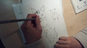 Drawing Cats And Dogs In Manga Style