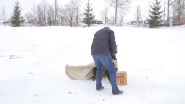 Музейный комплекс ДУДУТКИ