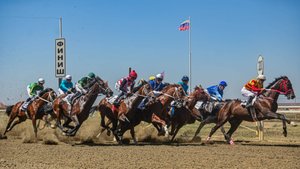 СКАЧКИ НА КУБОК ГУБЕРНАТОРА КРАСНОДАРСКОГО КРАЯ 24.08.2024г.