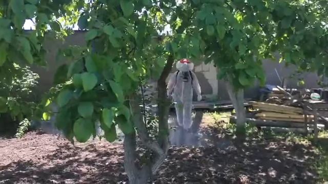 Акарицидная обработка от клещей. смотреть онлайн