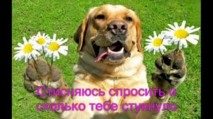 И я и я поздравляю тебя! Дашенька!!!
