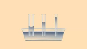 Капилляры. Урок физики