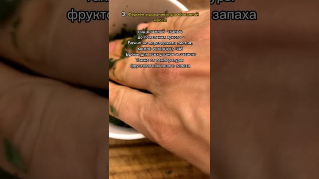 Ферментированный чай из листьев подсолнуха
