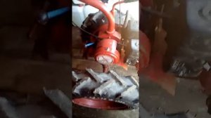 Салют5 установка колёс.R16 Белшина 5,50-16 Ф-122