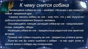 К чему снится Собака – толкование сна по Соннику
