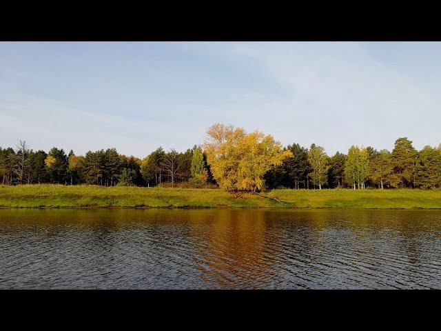 И снова хорошая рыбалка на старице реки Тавда и еще немного грибов удалось найти :-) #NIK_72 смотреть онлайн