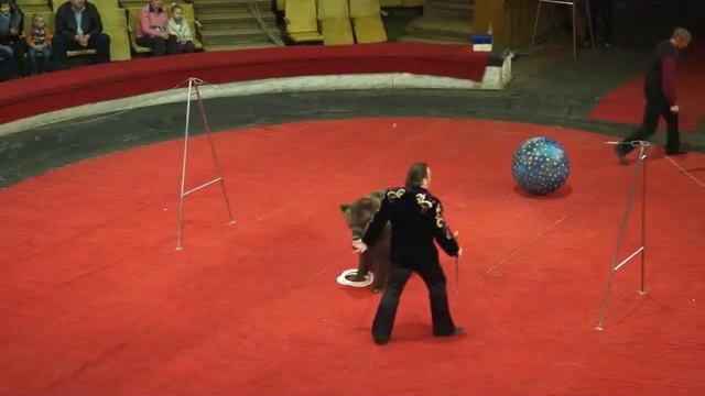 Цирк зверей (медведи) Филатовы смотреть онлайн