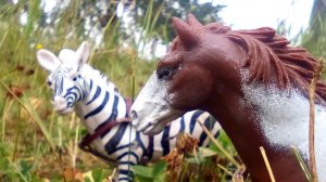 Сериал Schleich  Believe in yourself серия 6